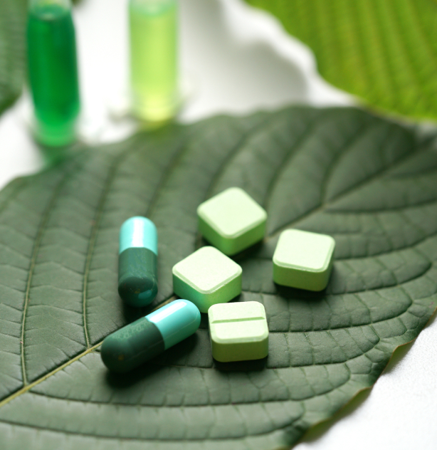 medicine pills for chronic pain treatment sitting on a leaf